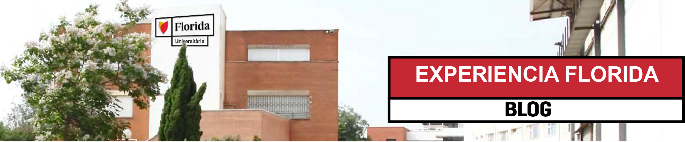 Blogs de Florida